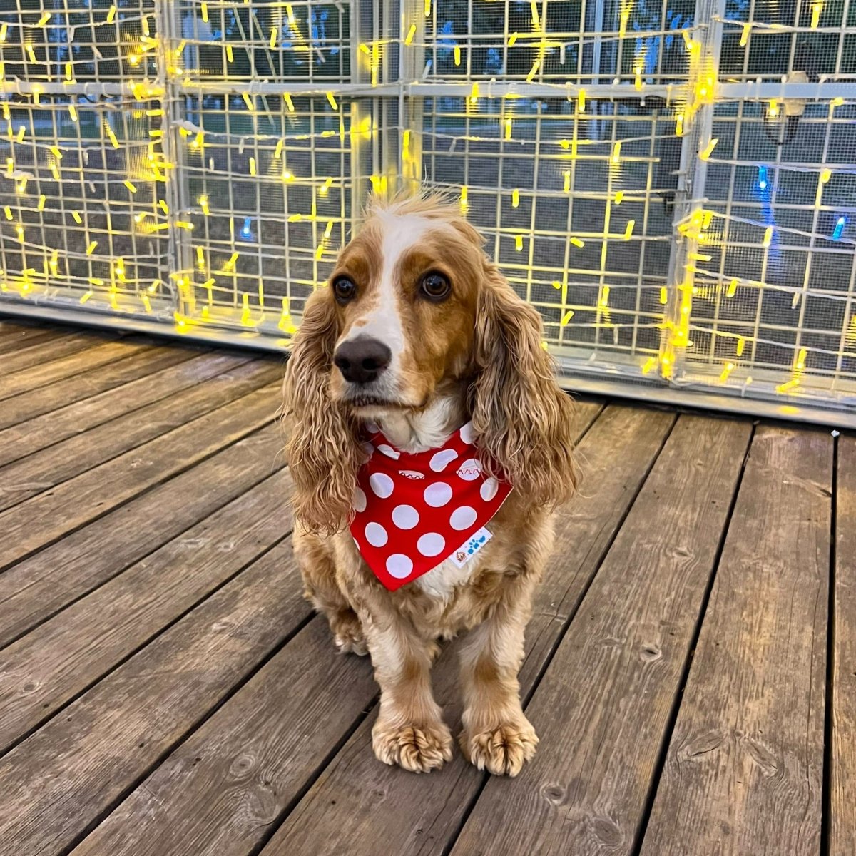 Pink Santa Claus Dog Bandana - Briggs 'n' Wiggles