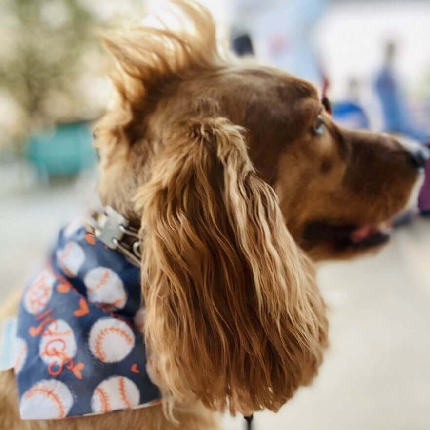 Briggs wearing our navy Astros-inspired bandana featuring floating baseballs, and orange hearts, perfect for a stylish and sporty look.