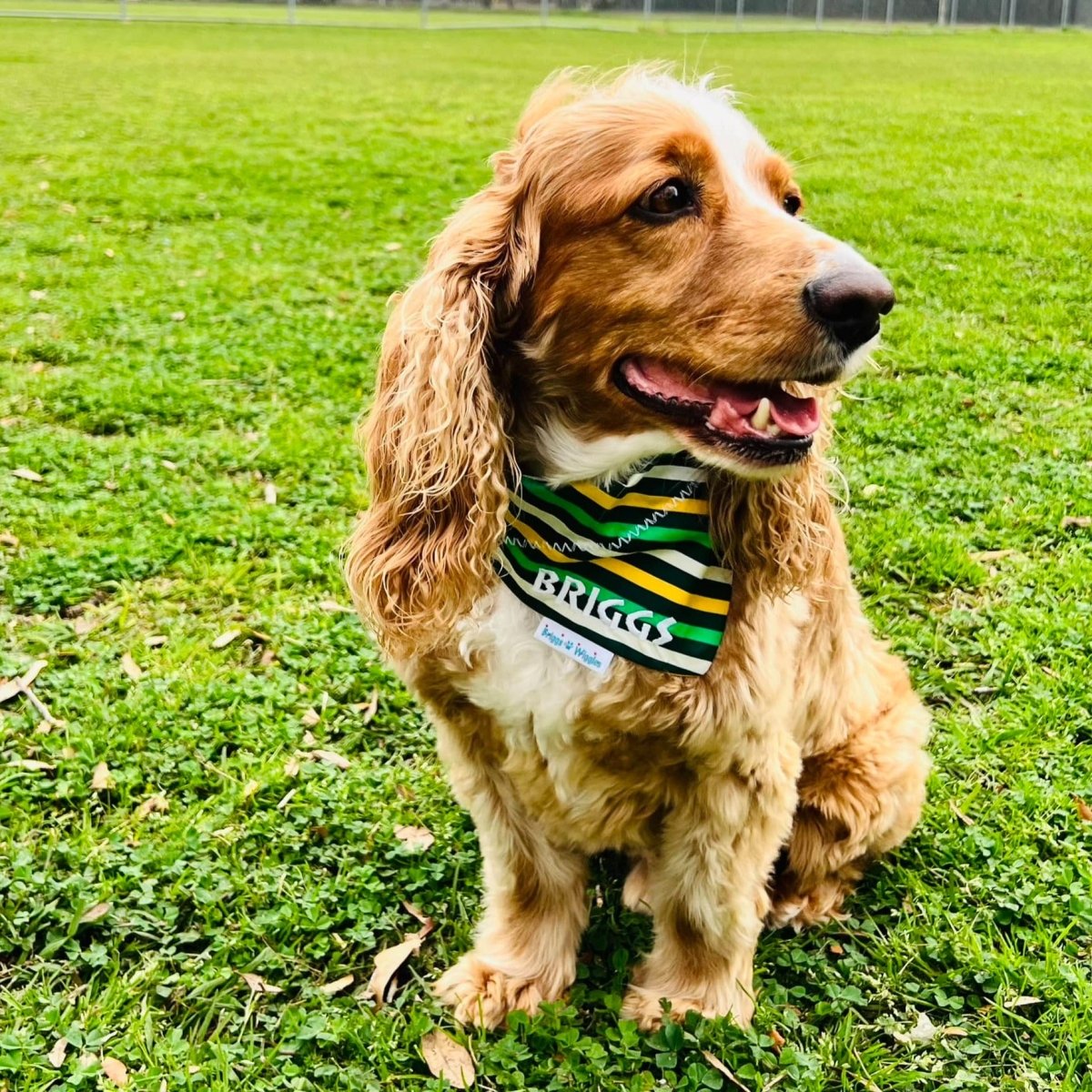 Preppy Green and Gold Stripes Dog Bandana - Briggs 'n' Wiggles