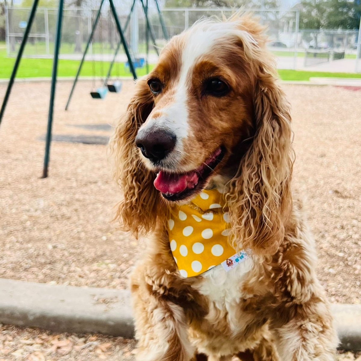 Preppy Green and Gold Stripes Dog Bandana - Briggs 'n' Wiggles