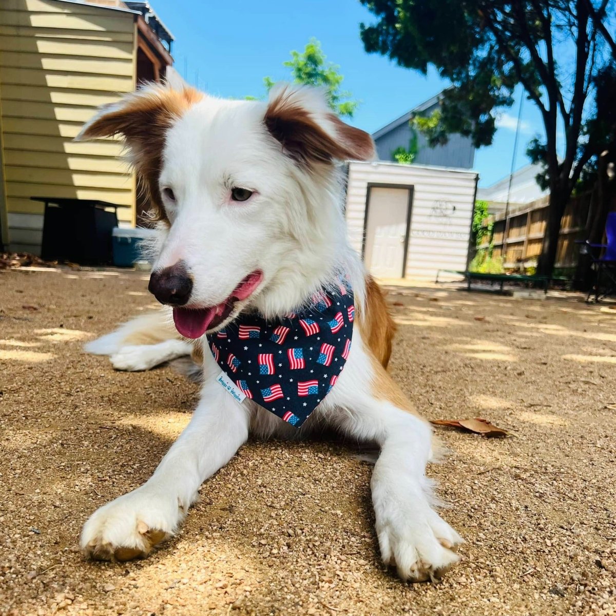 Proud to be an AMERICAN Dog Bandana - Briggs 'n' Wiggles