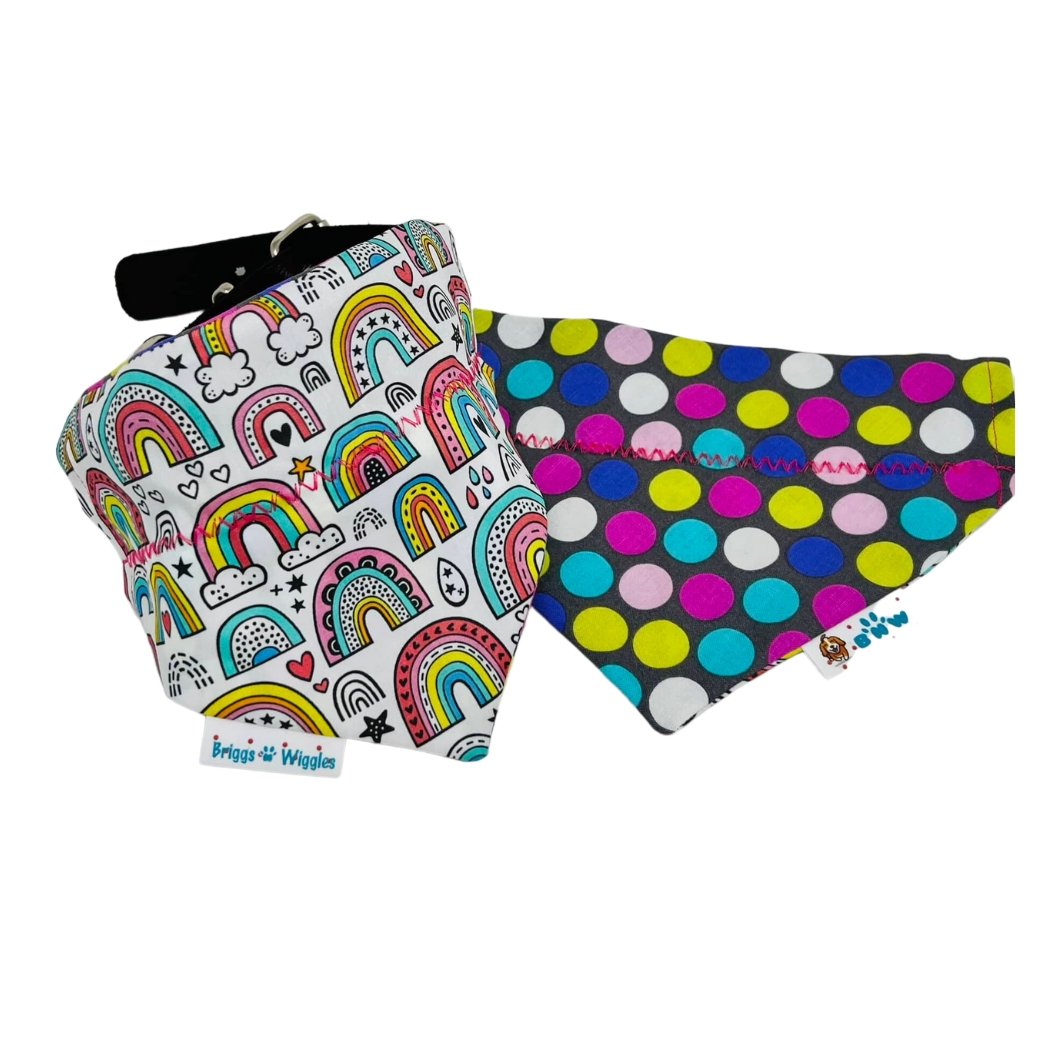 Rainbow Love Dog Bandana - Briggs 'n' Wiggles