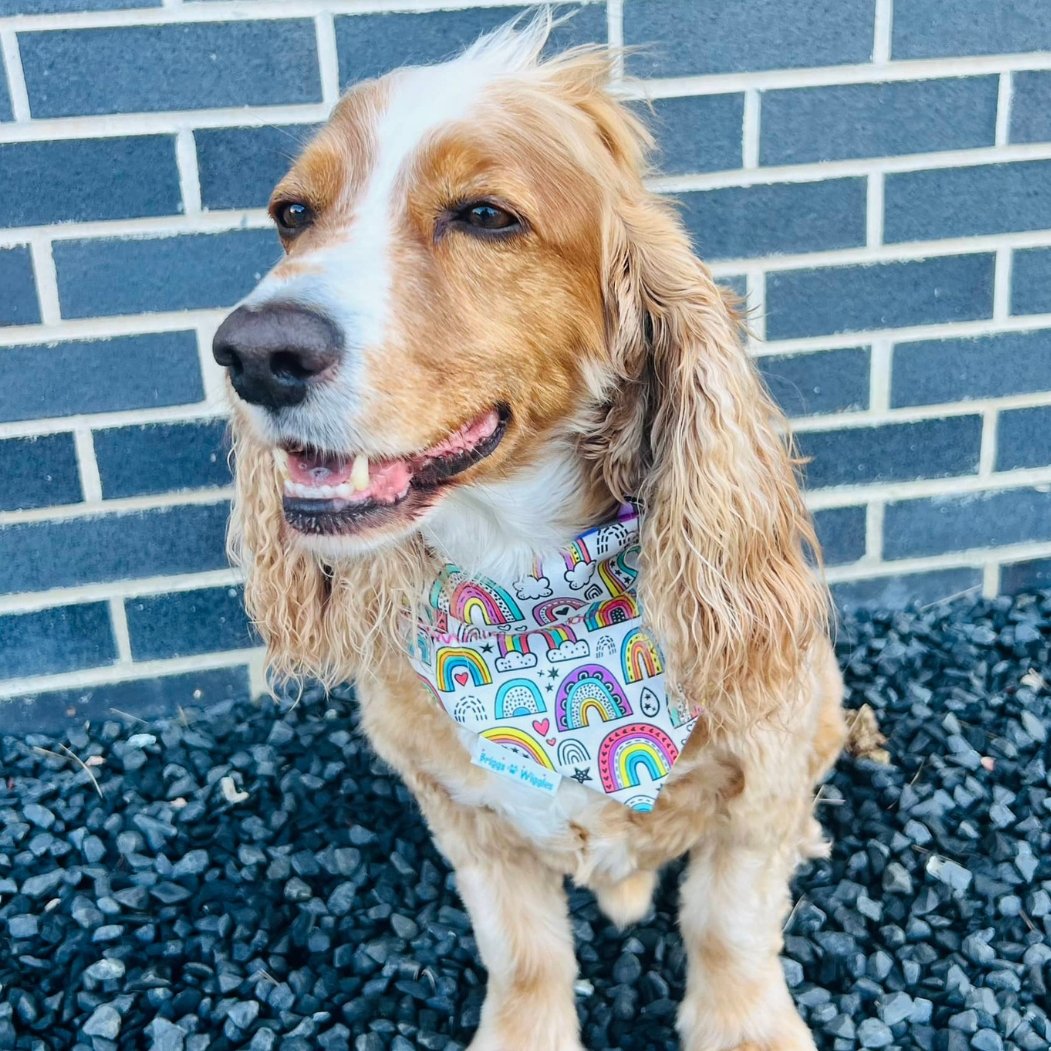 Rainbow Love Dog Bandana - Briggs 'n' Wiggles