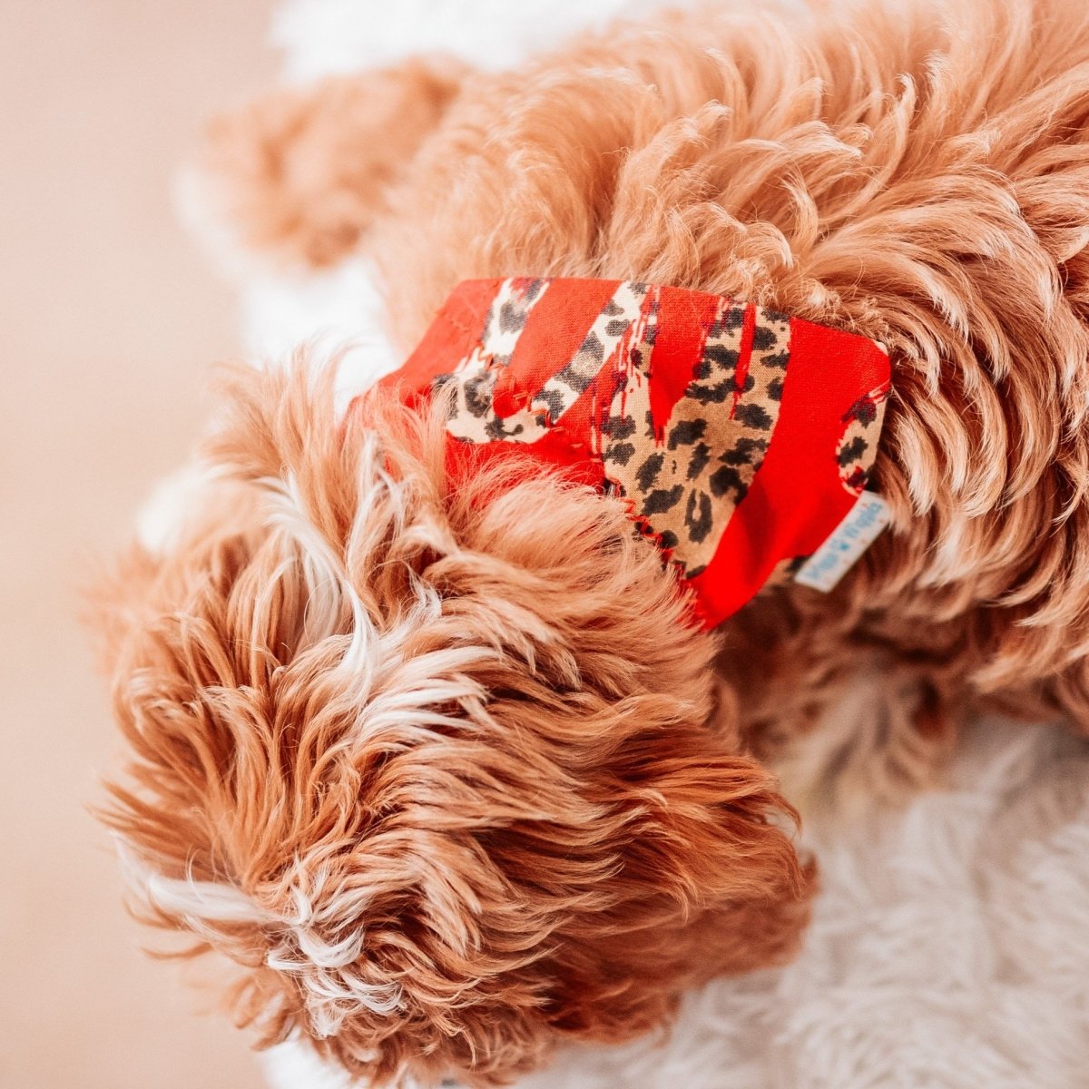 Red Sassy Leopard Heart Dog Bandana - Briggs 'n' Wiggles