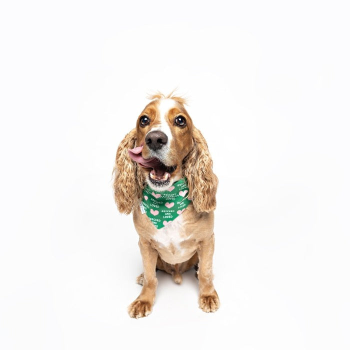 Rescued and Loved Dog Bandana - Briggs 'n' Wiggles