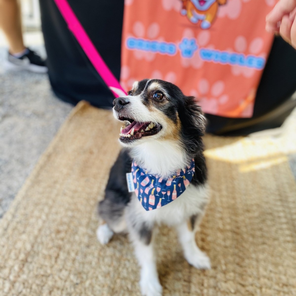 Rose All Day Dog Bandana - Briggs 'n' Wiggles - Briggs 'n' Wiggles