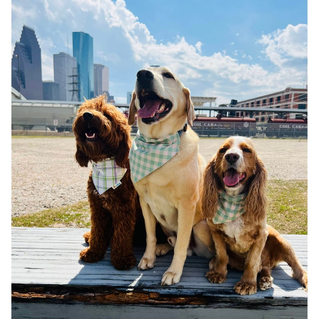 Sage Green and Lavender Plaid Dog Bandana - Briggs 'n' Wiggles