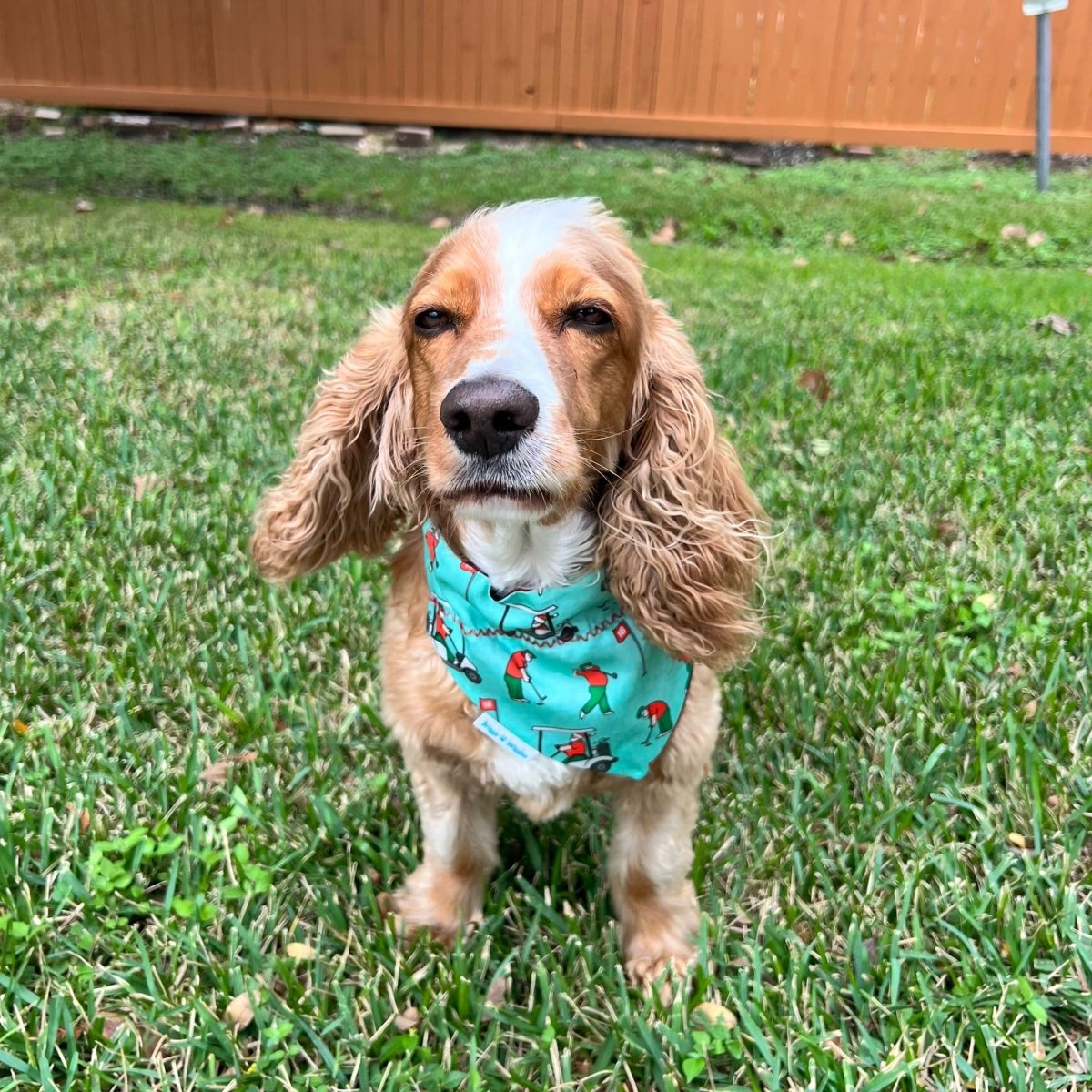 Santa Claus the Golfer Dog Bandana - Briggs 'n' Wiggles