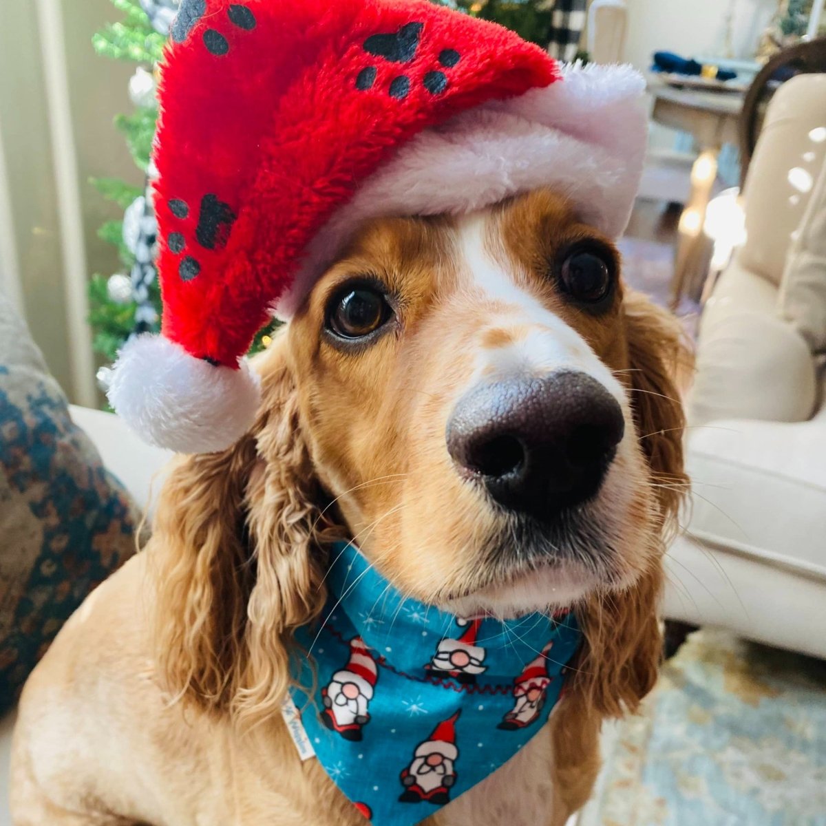 Santa's Helpers Dog Bandana - Briggs 'n' Wiggles