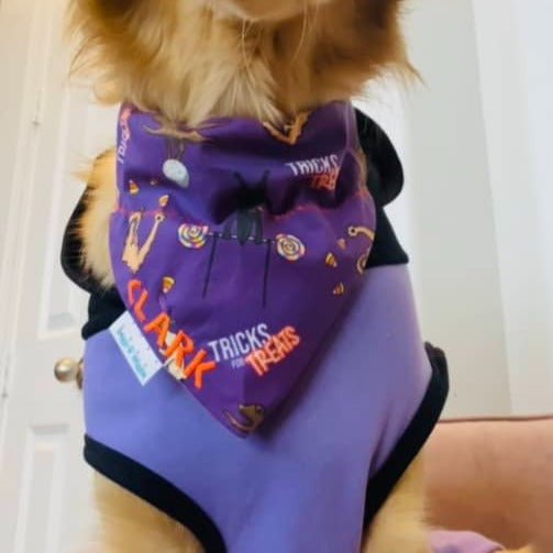September 2023 Wiggles Subscription - Add ON - Briggs 'n' Wiggles