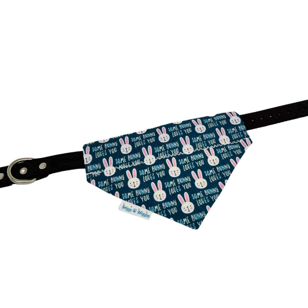 Some Bunny Loves You Dog Bandana - Briggs 'n' Wiggles