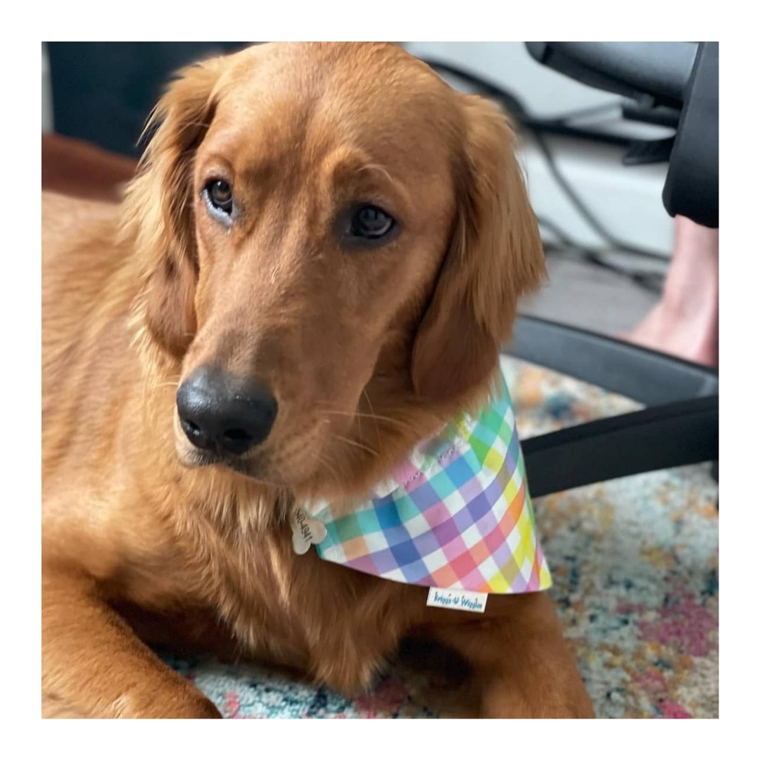 Spring Pastel Plaid Dog Bandana - Briggs 'n' Wiggles
