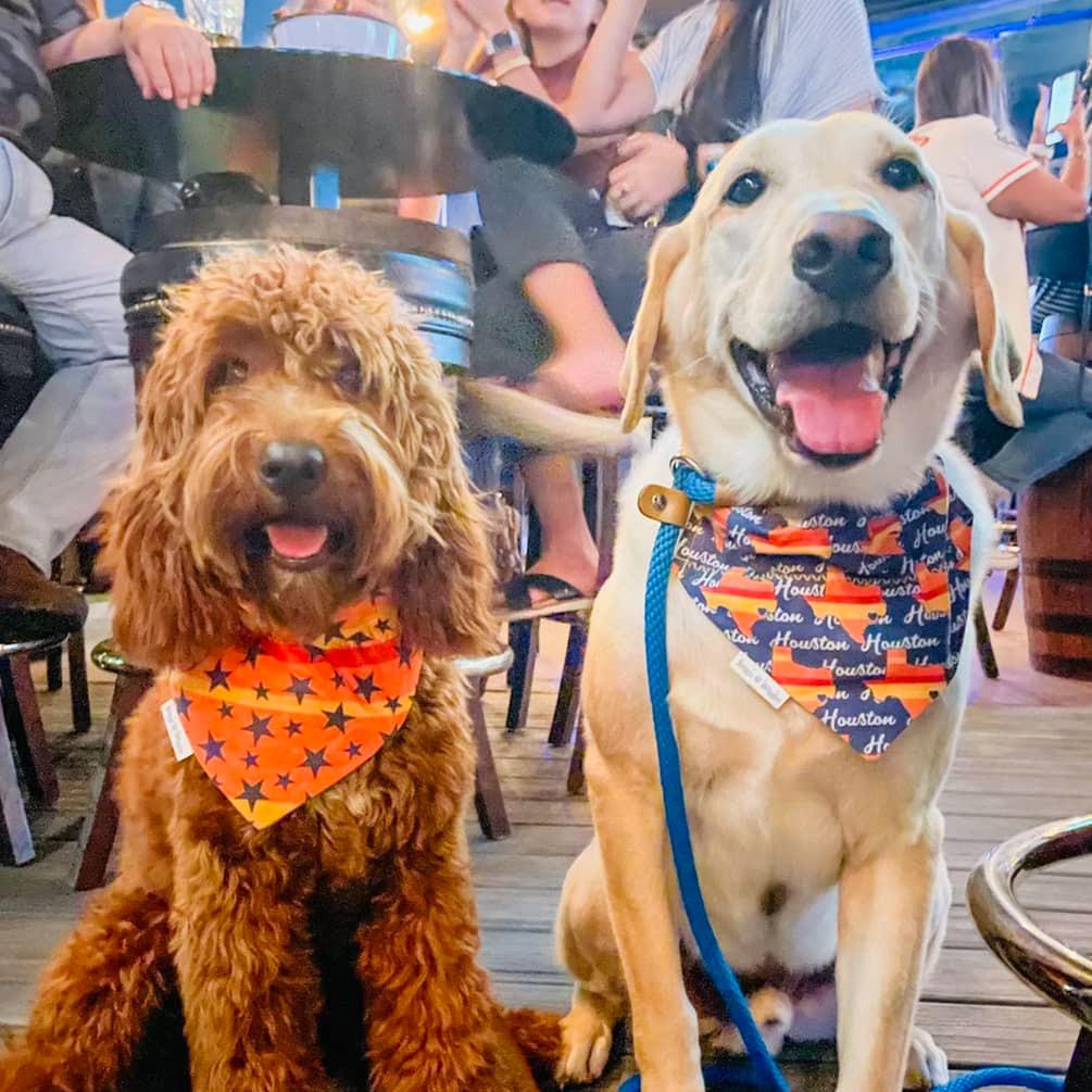 Stars are Bright Astros Inspired Retro Rainbow Dog Bandana - Briggs 'n' Wiggles