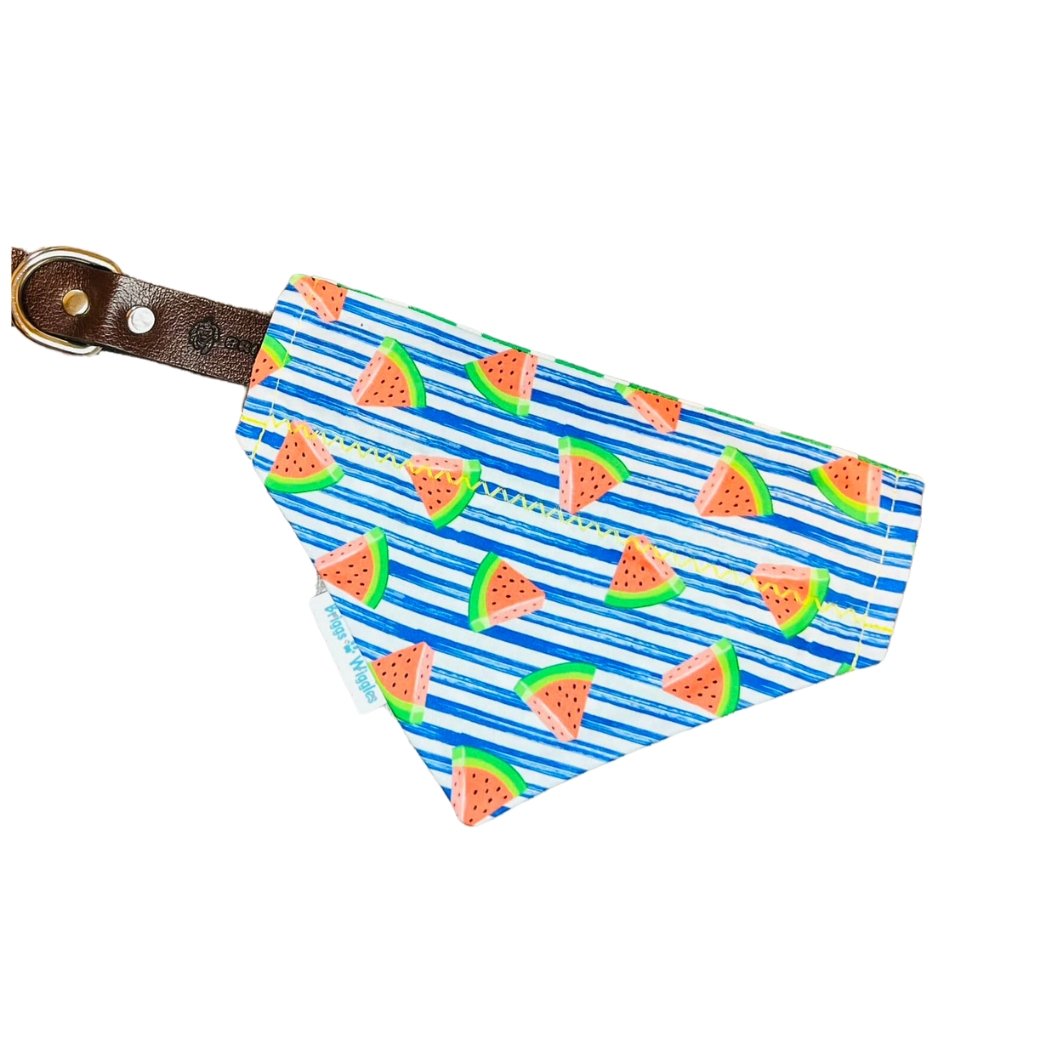 Summer Watermelon Stripe Dog Bandana - Briggs 'n' Wiggles