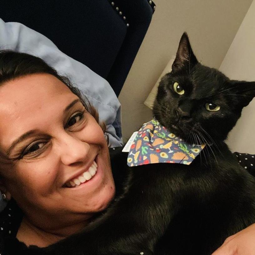 Cat wearing reversible Taco Tuesday dog bandana with taco and margarita print, styled over the collar.