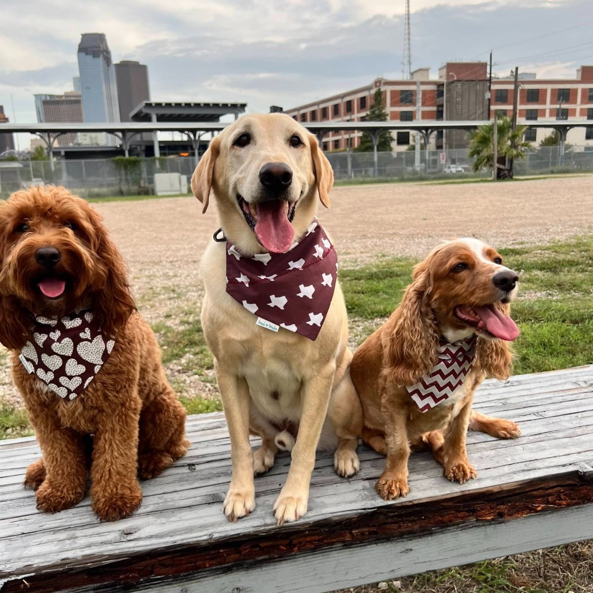 Texas Aggie Dog Bandana - Briggs 'n' Wiggles