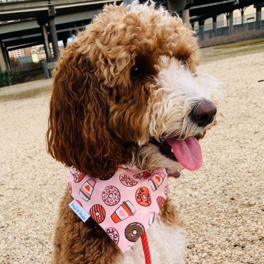 Dog wearing Valentine Coffee & Donuts  bandana with a pink background, featuring playful floating coffee cups and donut designs for festive pet fashion.