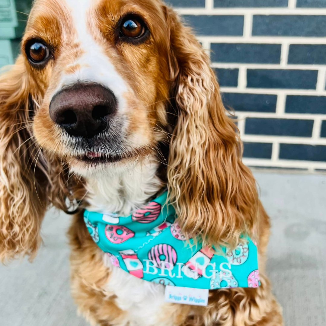 Valentine Heart Donuts and Coffee Dog Bandana - Briggs 'n' Wiggles
