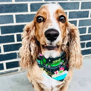 Vintage Christmas Cars | Dog Bandana - Briggs 'n' Wiggles