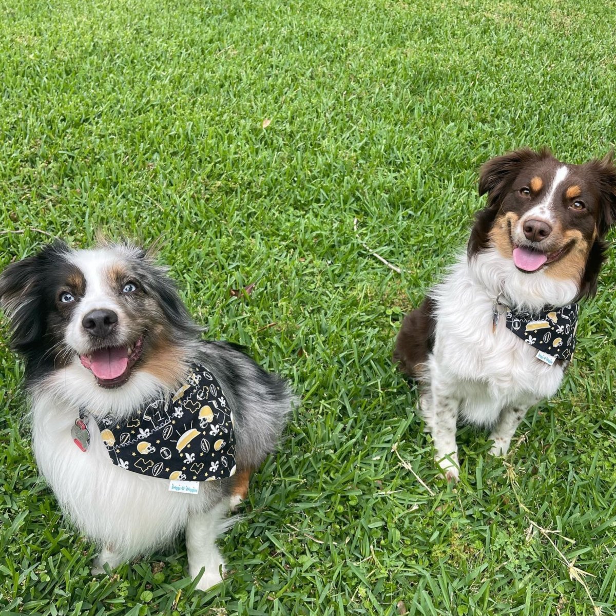 Dogs wearing our New Orleans Saints-themed reversible bandana showcasing intricate designs with the Superdome, fleur-de-lis, footballs and the state of Louisiana in black and gold.