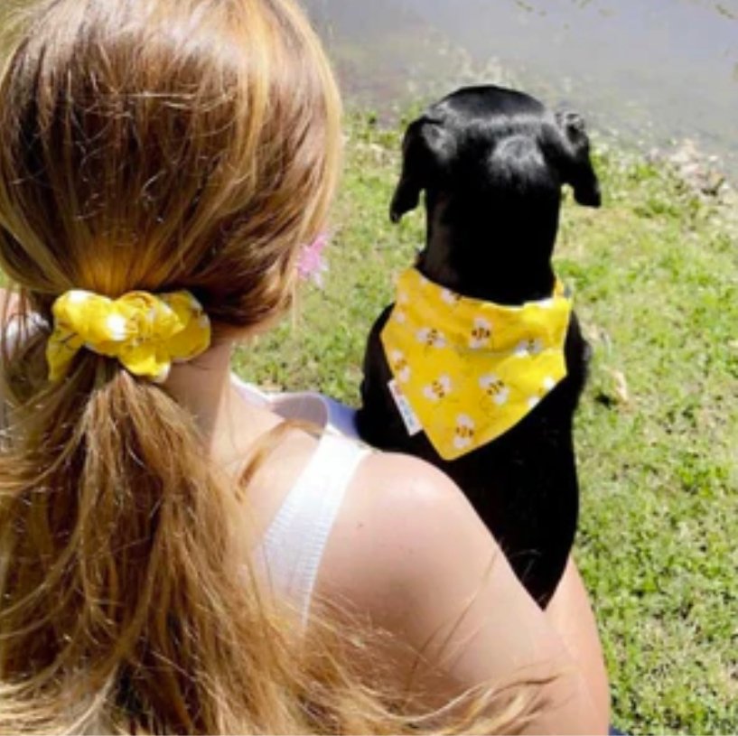 3 Ways to Prep Your Pup for Summer - Briggs 'n' Wiggles