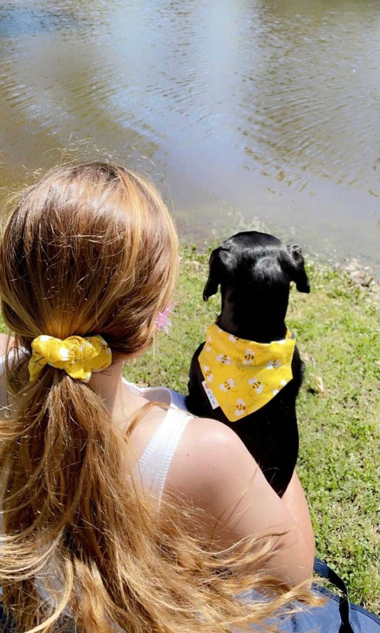 Headband and Scrnchies to match  your dogs bandana  - Briggs 'n' Wiggles
