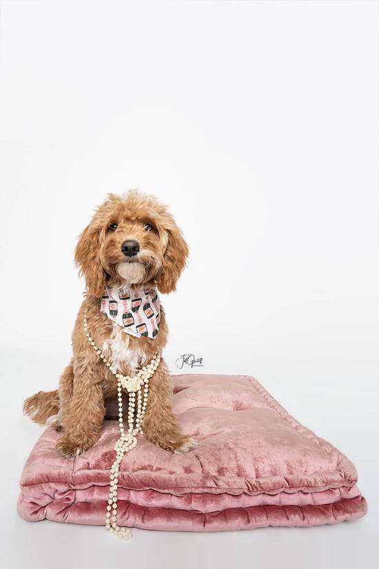 Preppy & Sassy Dog Bandana - Scarf Collection | Briggs 'n' Wiggles