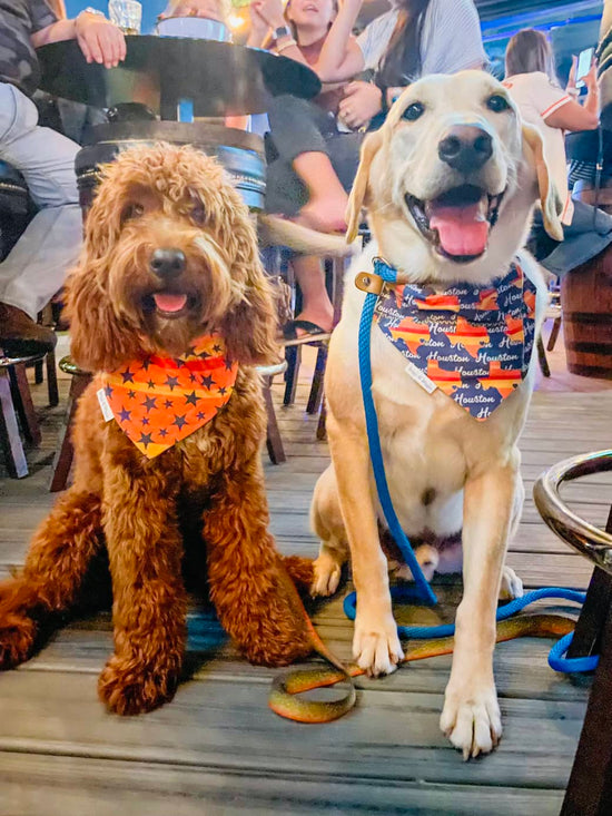Woof for the home team with our team or school spirit colored reversible dog bandanas | Briggs 'n' Wiggles