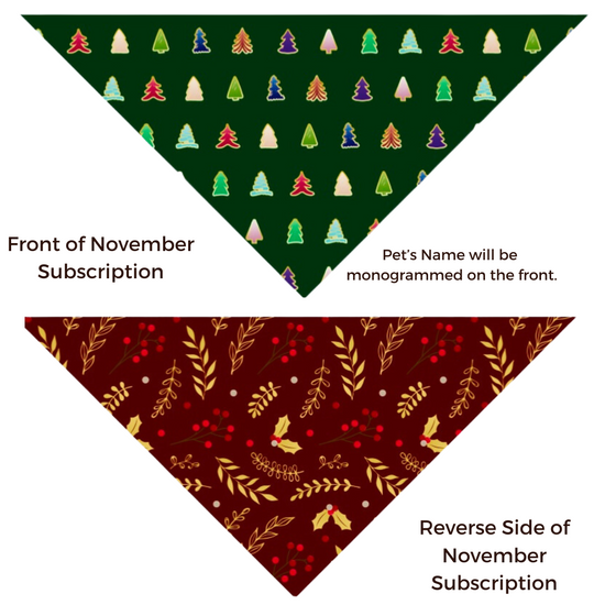 November Wiggles Subscription Exclusive Design | Briggs 'n' Wiggles 
