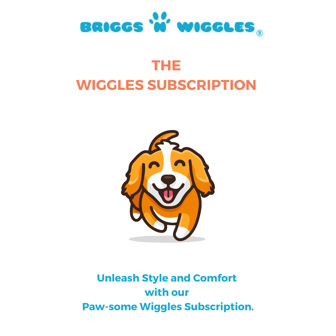The Wiggles Monthly Dog Subscription | Briggs 'n' Wiggles 
