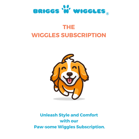 The Wiggles Monthly Dog Subscription | Briggs 'n' Wiggles 