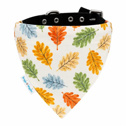 Autumn Leaves fall dog bandana with colorful orange, green, blue and gold leaf print, handmade slide-on dog bandana