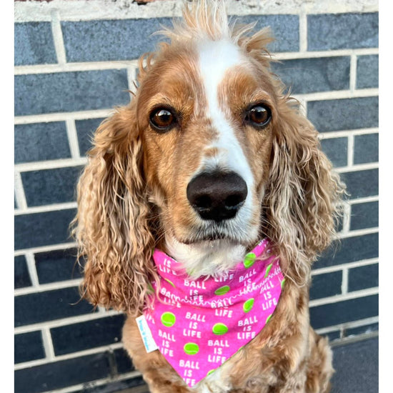 Ball is LIFE Pink Dog Bandana - Briggs 'n' Wiggles