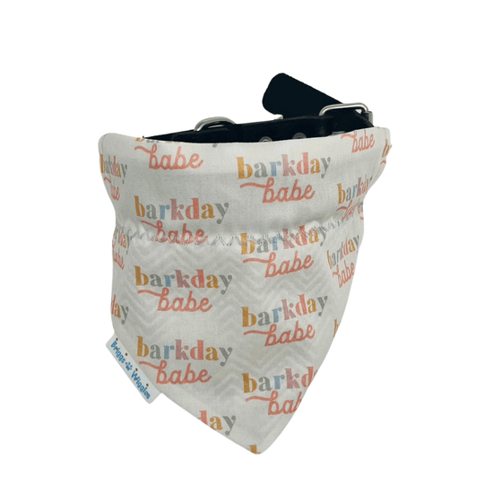 Barkday Babe Dog Bandana - Pastel Reversible Handmade Accessory - Briggs 'n' Wiggles