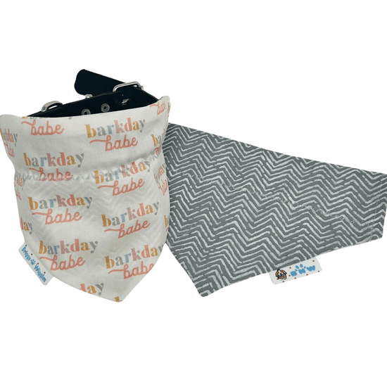 Barkday Babe Dog Bandana - Pastel Reversible Handmade Accessory - Briggs 'n' Wiggles