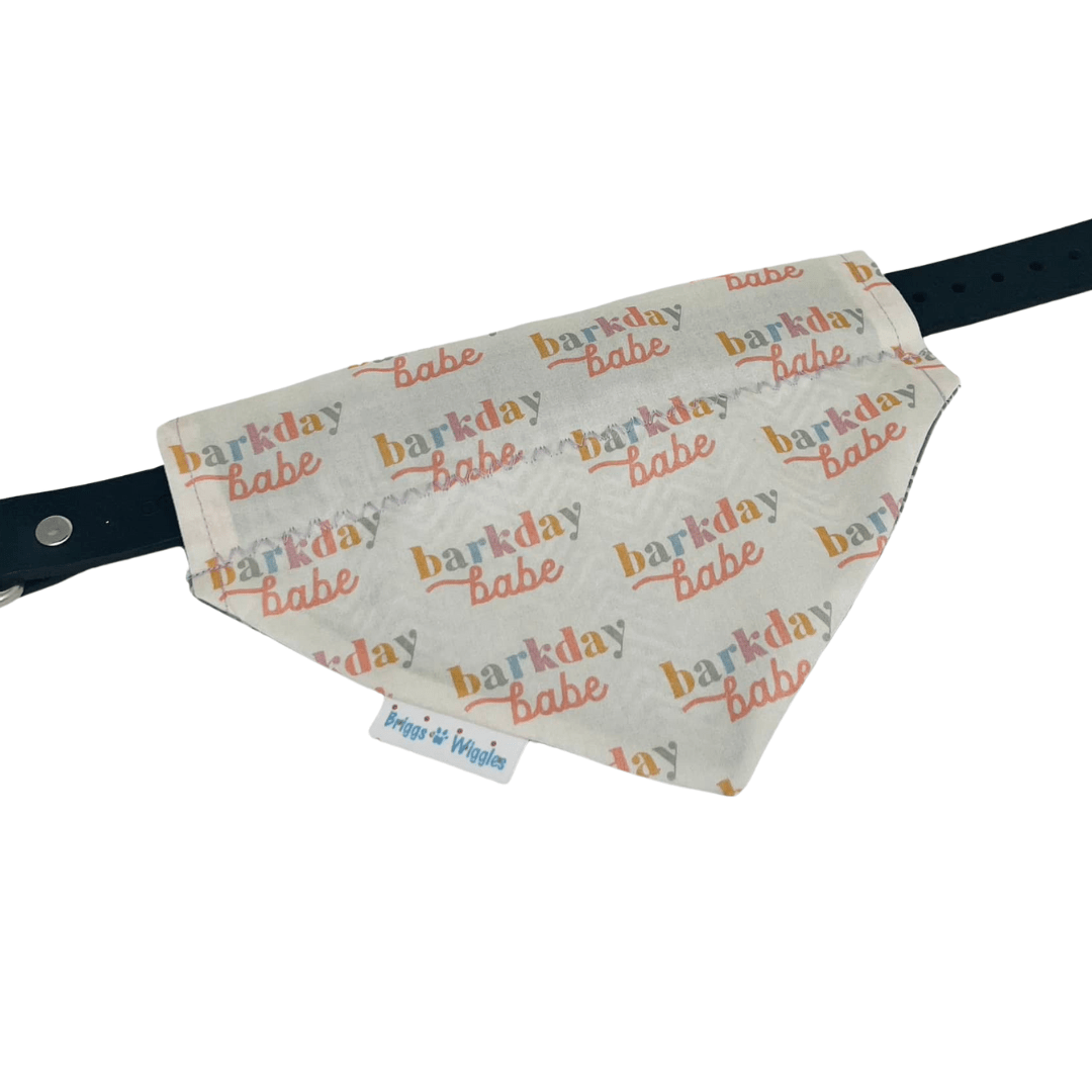 Barkday Babe Dog Bandana - Pastel Reversible Handmade Accessory - Briggs 'n' Wiggles