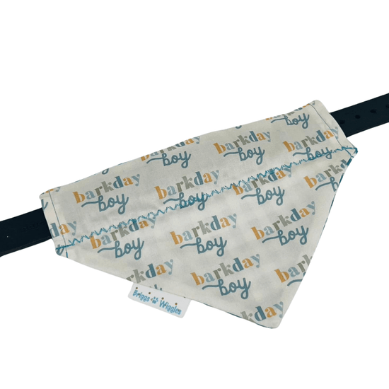 Barkday BOY Dog Bandana - Reversible Handmade Accessory - Briggs 'n' Wiggles