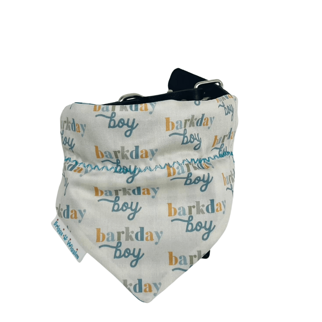 Barkday BOY Dog Bandana - Reversible Handmade Accessory - Briggs 'n' Wiggles