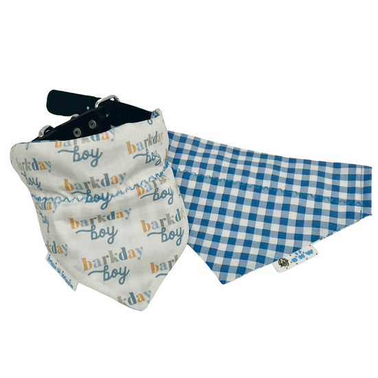 Barkday BOY Dog Bandana - Reversible Handmade Accessory - Briggs 'n' Wiggles