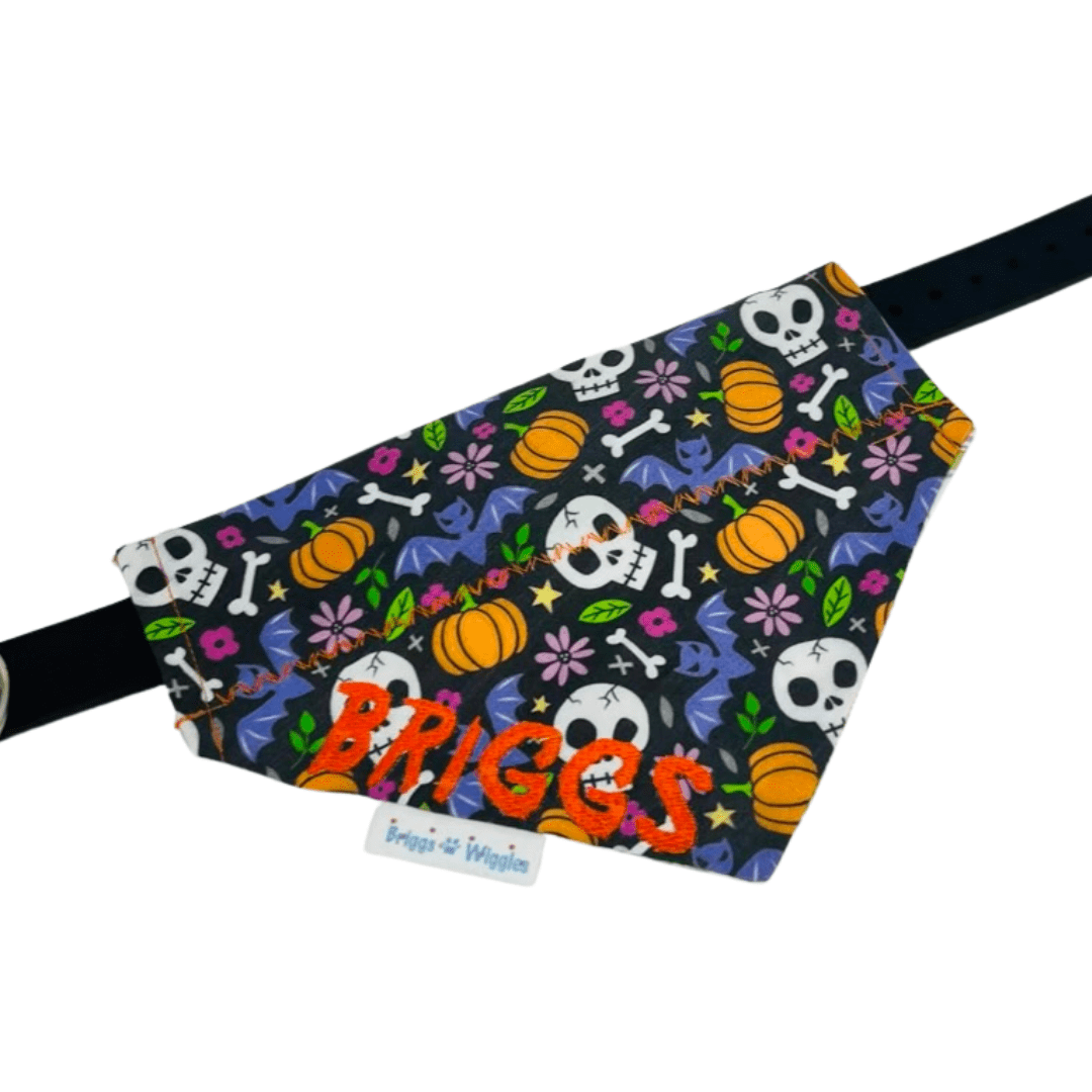 Bone & Bat Bash – Reversible Halloween Dog Bandana - Briggs 'n' Wiggles