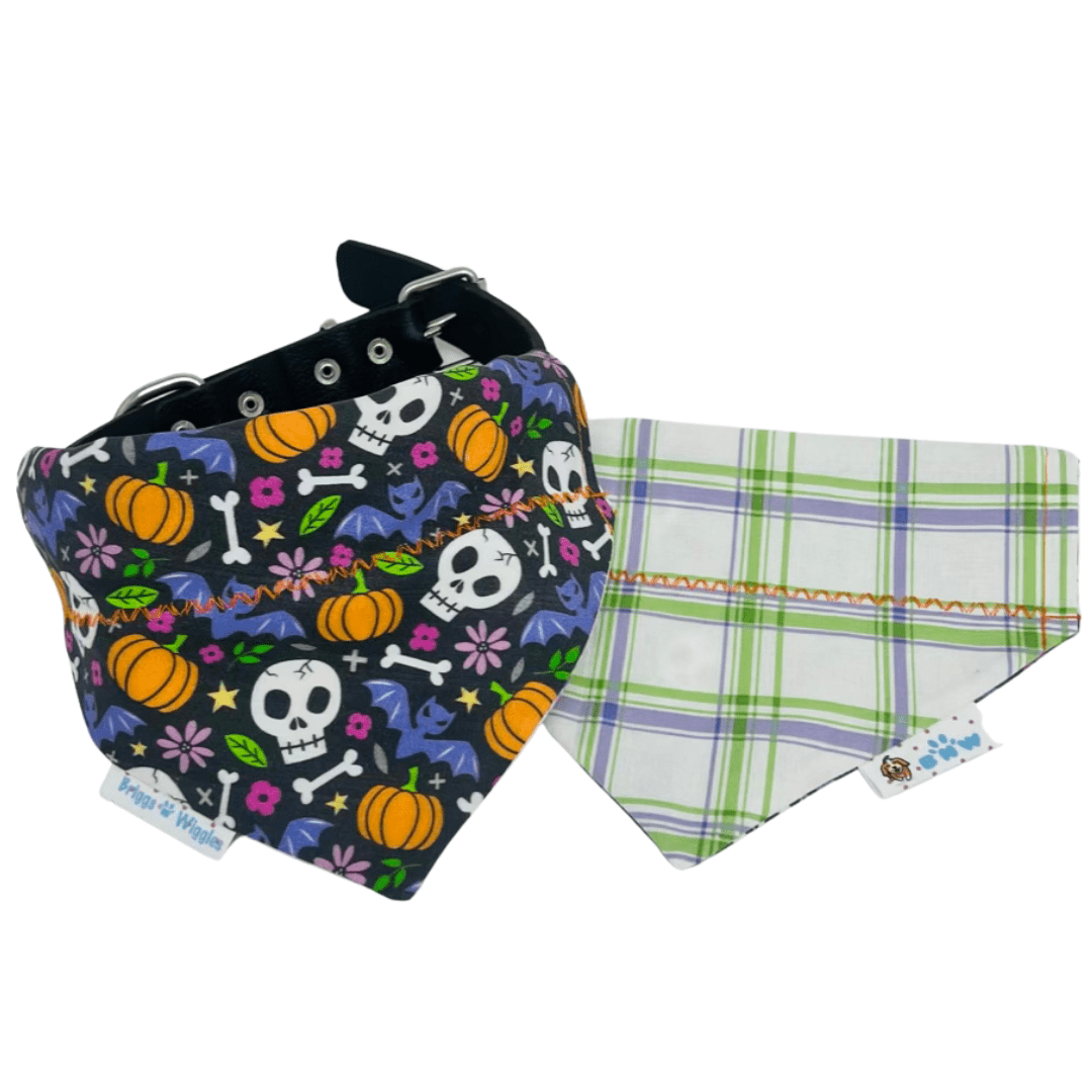 Bone & Bat Bash – Reversible Halloween Dog Bandana - Briggs 'n' Wiggles