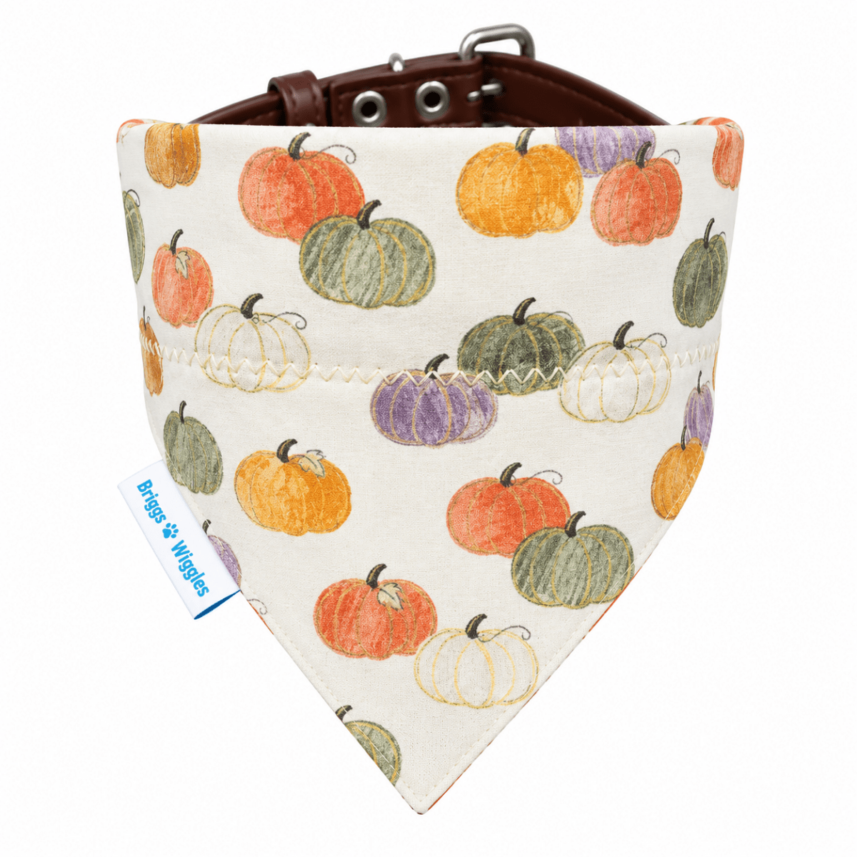 Elegant Fall Pumpkin Dog Bandana - Briggs 'n' Wiggles
