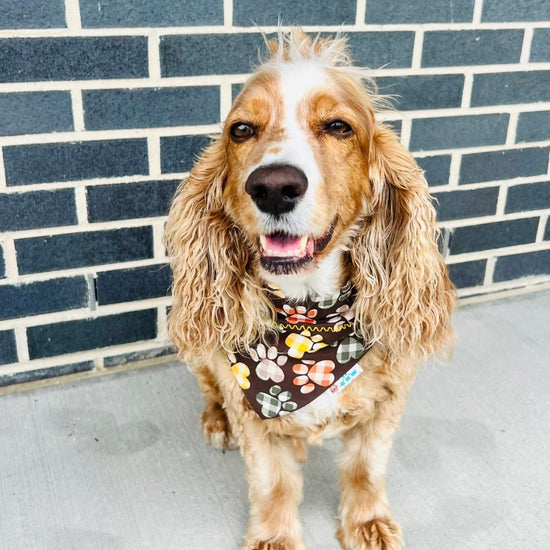 Fall Leaves with Fall Plaid Paws Reversible Dog Bandana - Briggs 'n' Wiggles