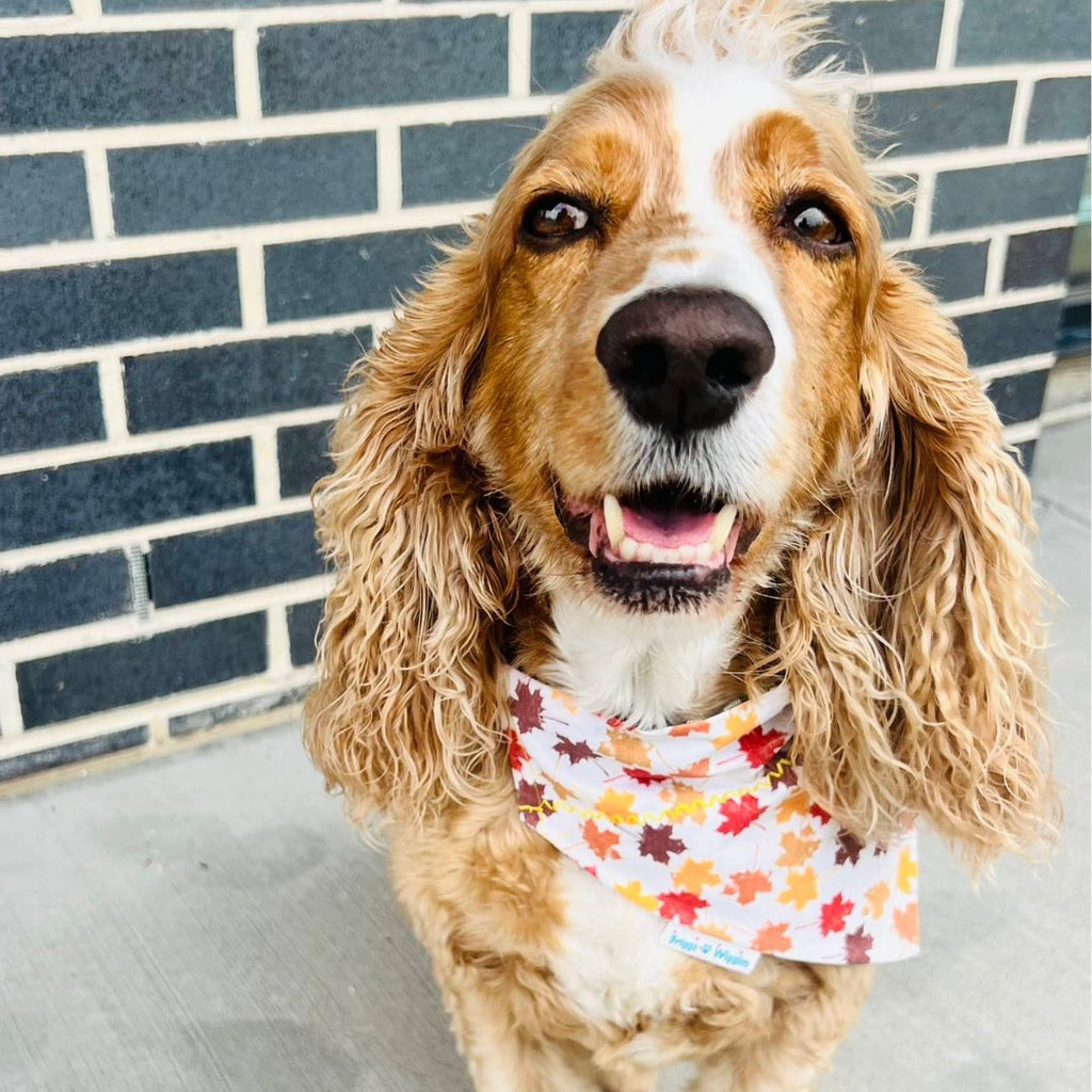 Fall dog bandana best sale