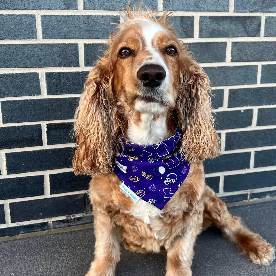 Geaux Tigers Football Over the Collar Dog Bandana - Briggs 'n' Wiggles