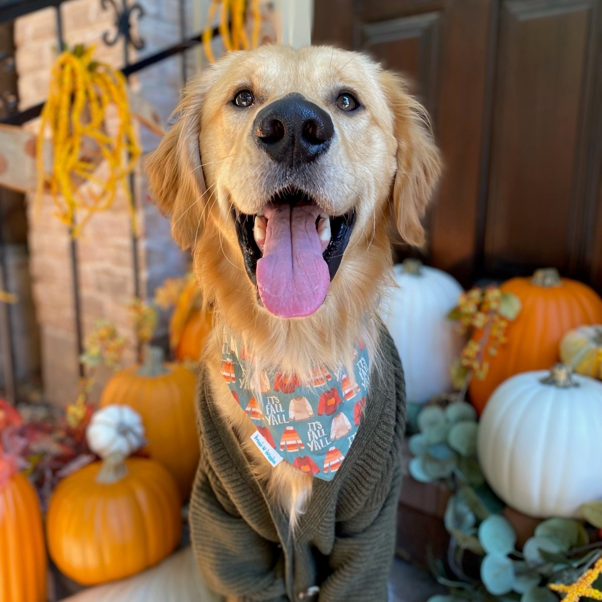 Handmade Reversible Fall Dog Bandana - Cozy Sweaters & Orange Stripes - Briggs 'n' Wiggles
