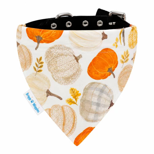 Harvest Pumpkins fall dog bandana with orange cream and plaid pumpkins, handmade slide-on dog bandana by Briggs ’n’ Wiggles