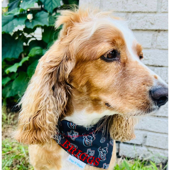 Houston Texans Inspired Dog Bandana - Briggs 'n' Wiggles