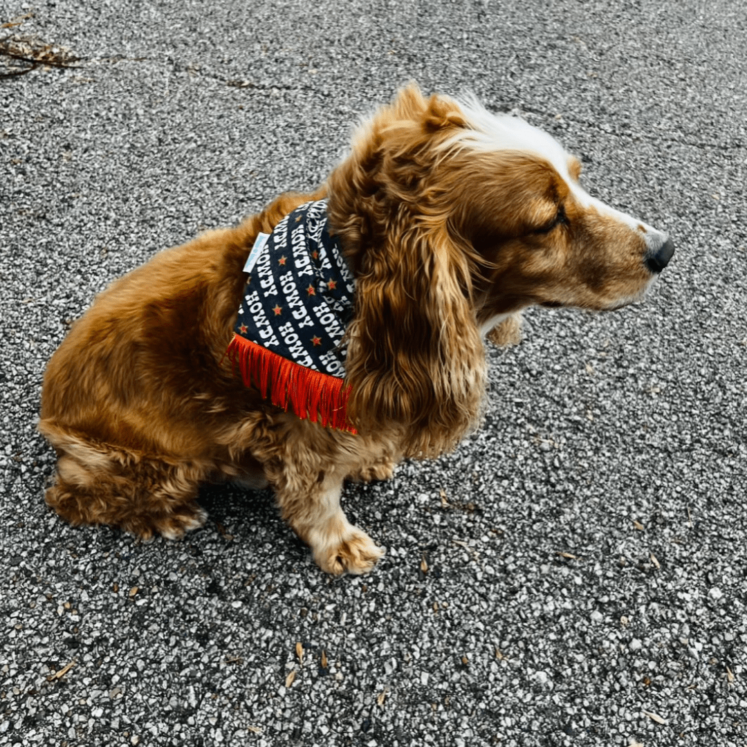 Howdy Fringe Dog Bandana – Black & Orange Western Style - Briggs 'n' Wiggles
