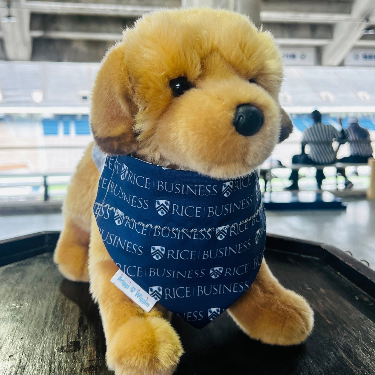 Rice Business Owl Dog Bandana | Houston MBA Spirit - Briggs 'n' Wiggles